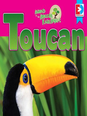 cover image of Animals of the Amazon Rainforest: Toucan